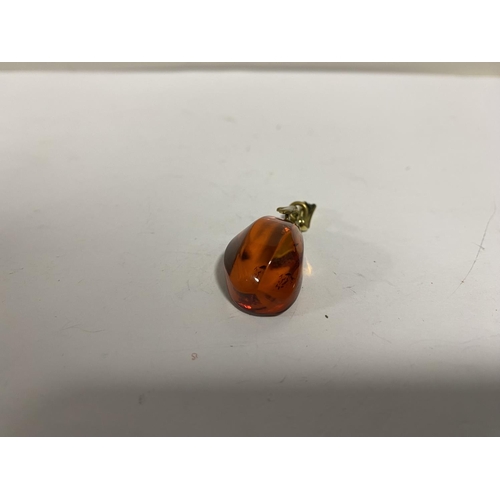 42 - Pressed Amber Pendant