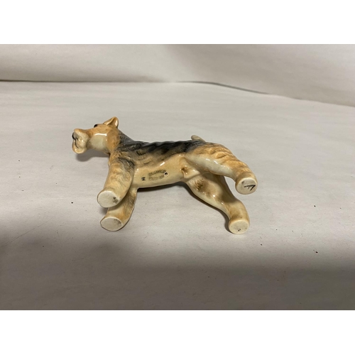 204 - Beswick Small Size Airedale Terrier