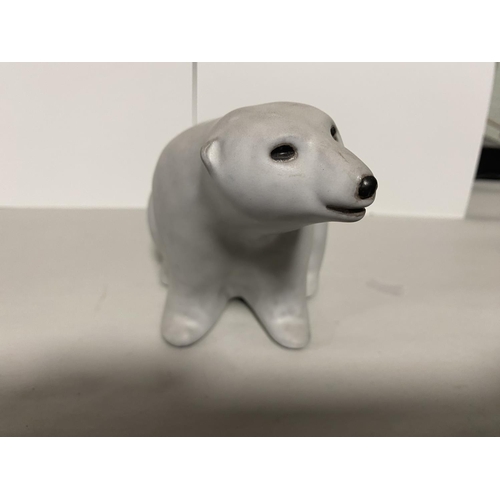 100 - POD (Andersen) of Maine, Studio Polar Bear, 6