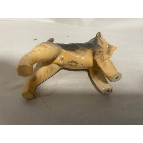 304 - Beswick Small Size Airedale Terrier