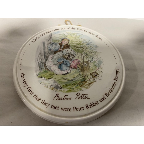 172 - Wedgwood Beatrix Potter - Mrs Tiggywinkle Wall Hanger/Pot Stand