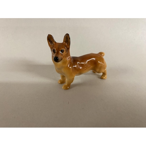 34 - Royal Doulton Small Welsh Corgi K16