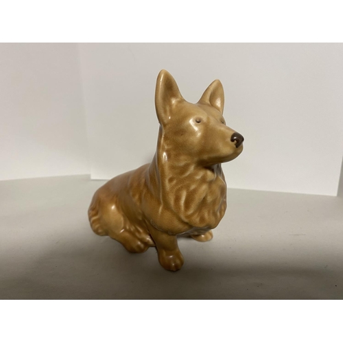 29 - Sylvac Model of a Corgi Dog, Model 3128