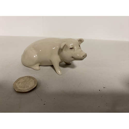 59 - Midwinter model of  Pig