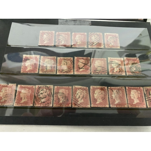 9 - Collection of 48 Penny Red Stamps