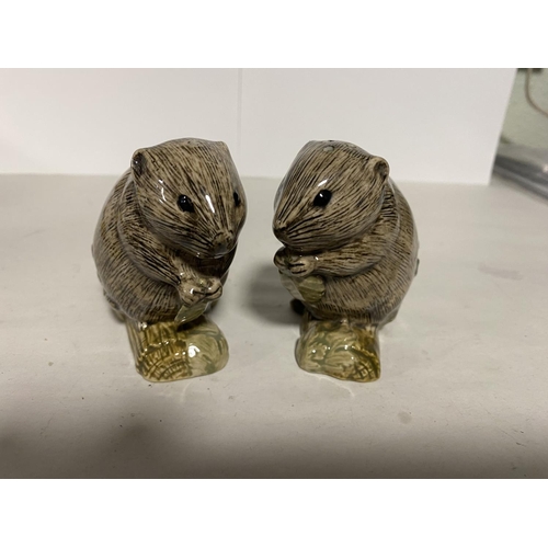 25 - Quail Pottery 'Beavers' Salt & Pepper Set