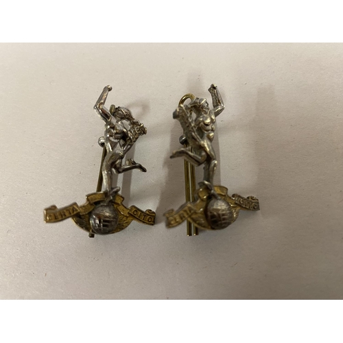 176 - Pair of Original Military Lapel Badges