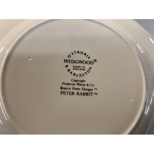 194 - Wedgwood 1982 Commemorative Peter Rabbot 7