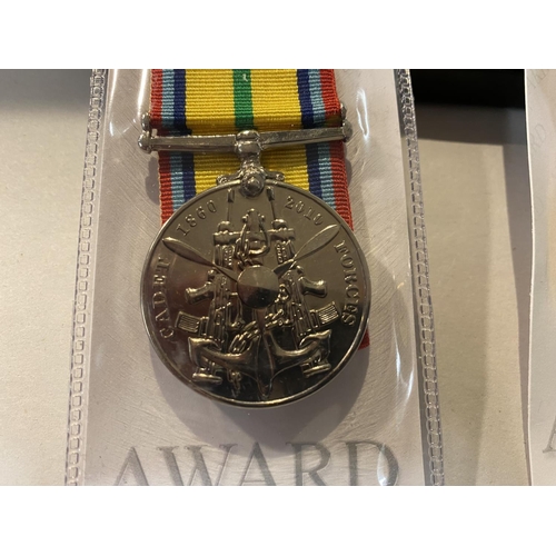 13 - 2 x Award Medals for Cadets, Boxed