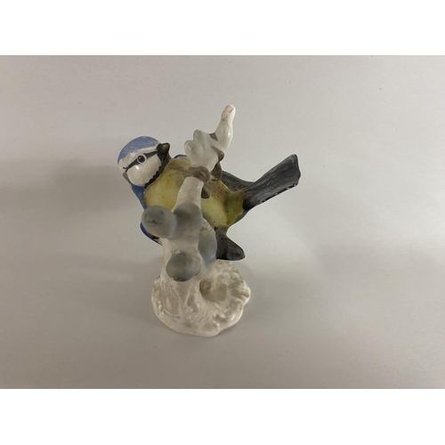Lot 26        