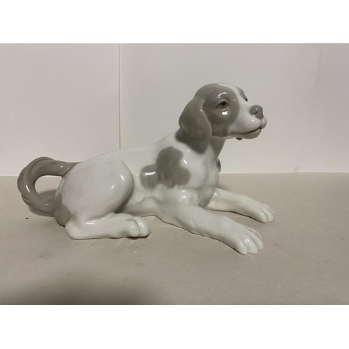 146 - Lladro Nao Dog, 7