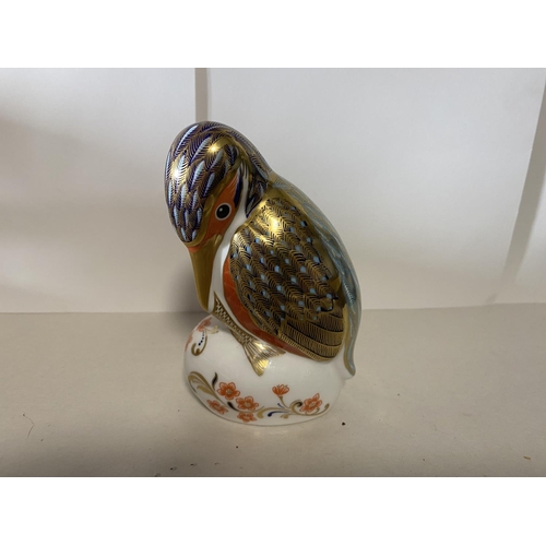 79 - Royal Crown Derby 11cm Kingfisher Paperweight