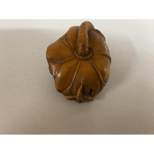 136 - Fruitwood Netsuke, Signed - Lizard