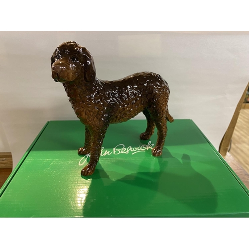 60 - John Beswick Labradoodle JBD76, 16cm Tall, Boxed