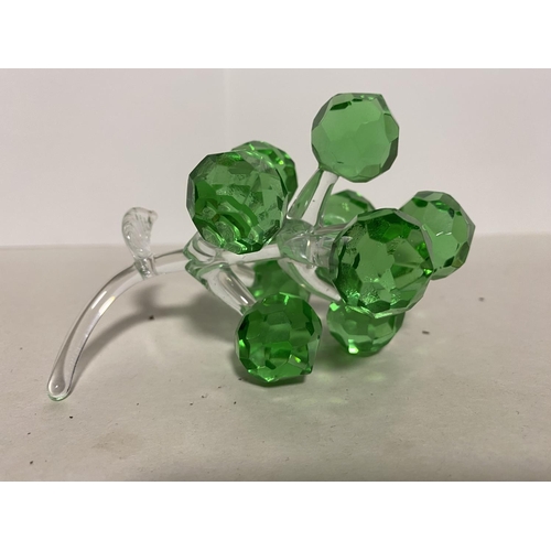 55 - Green Glass Grapes - 4