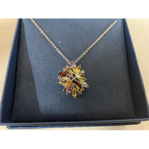 168 - 925 Silver Multi-Gemstone Flower Cluster Pendant & Chain