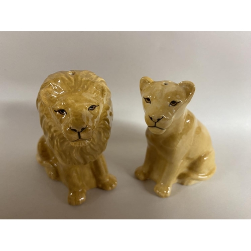 35 - Quail Lion/Lioness Salt & Pepper