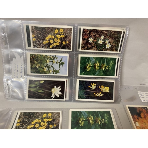 200 - 4 x Sets of John Player 'Grandee' Cards inc Flowers, Ocean, Nature