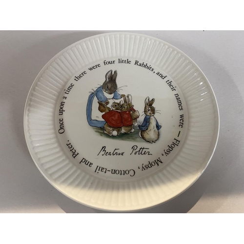 129 - Wedgwood Beatrix Potter Peter Rabbit 6