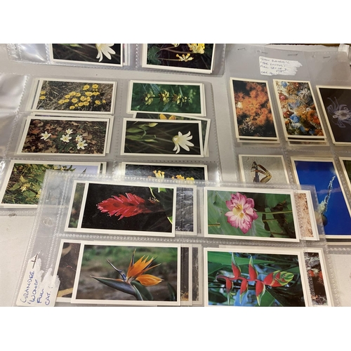 45 - 4 x Sets of John Player 'Grandee' Cards inc Flowers, Ocean, Nature