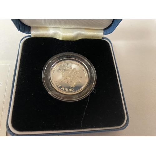 46 - Royal Mint Silver Proof 1995 One Pound £1 Coin with Box & Cert