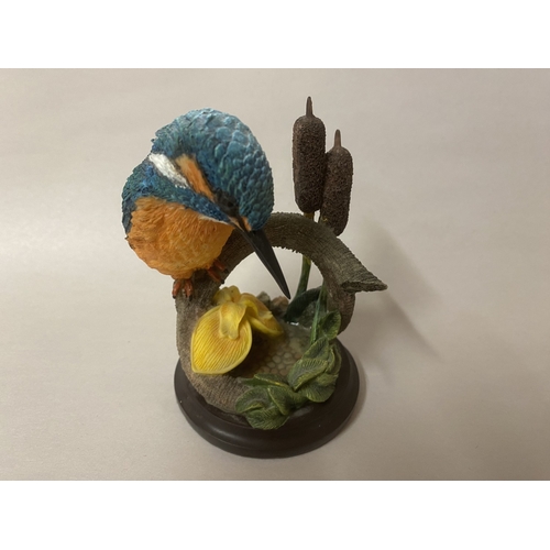 Lot 18        
