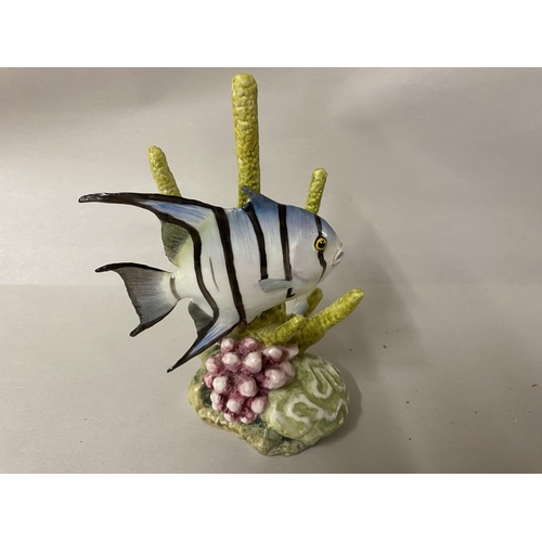 Lot 21        