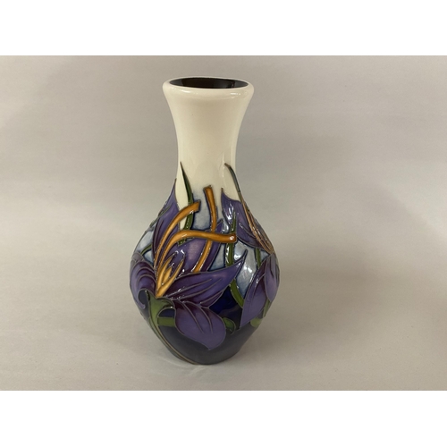 Lot 24        