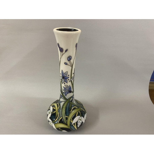Lot 25        