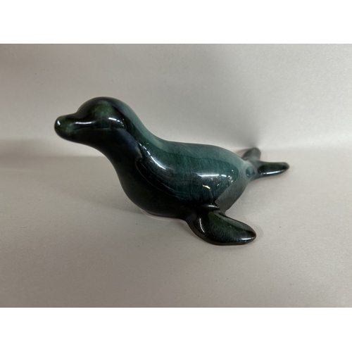 136 - Blue Mountain Pottery Sea Lion - 6