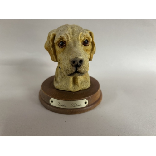 153 - Golden Labrador Dog Bust, 4