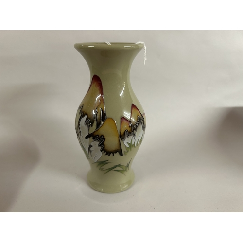 161 - Moorcroft 'Magical Toadstool' 13cm Vase (Red Dot)