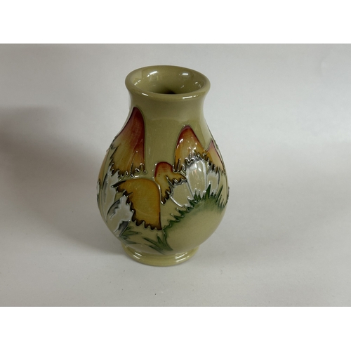 Lot 23        