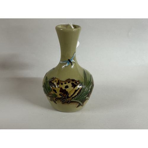 Lot 24        