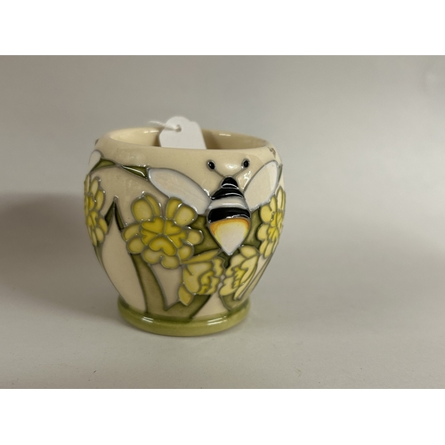 Lot 25        