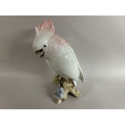 Lot 48        
