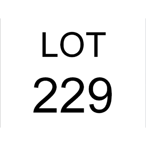 Lot 229       