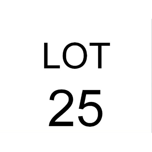 Lot 25        
