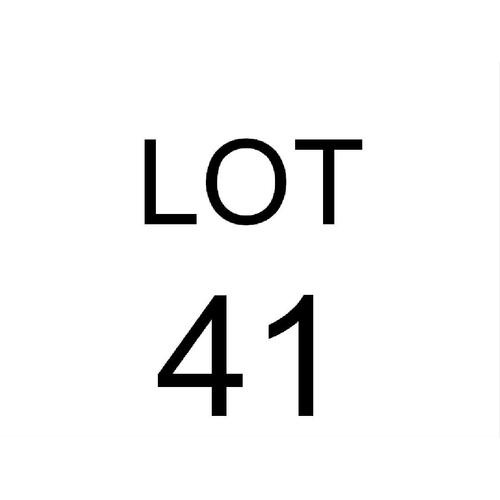 Lot 41        