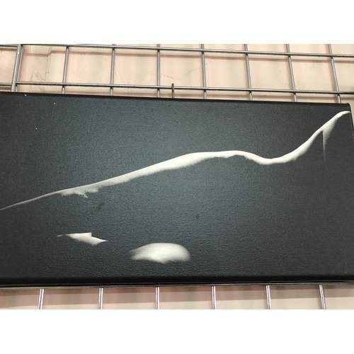 137 - Silhouette of a nude lady
