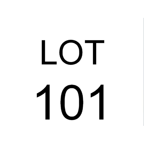 Lot 101       