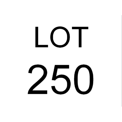 Lot 250       