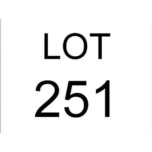 Lot 251       