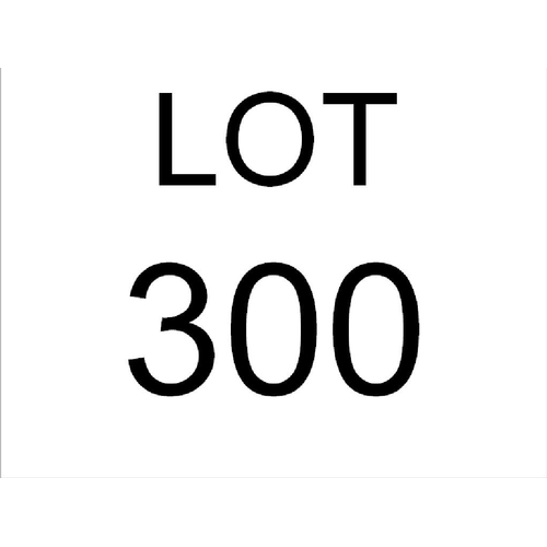 Lot 300       