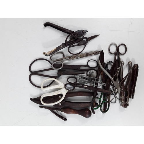 170 - Box of various scissors and clippers