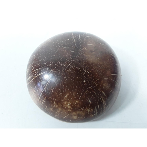 649 - Coconut shell instrument