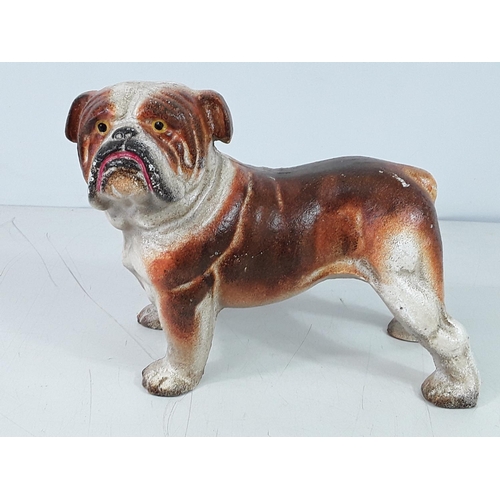 33 - Cast iron bull dog door stop