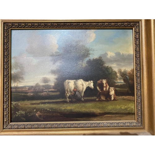 84 - ANTIQUE OIL ON BOARD OF COWS 24