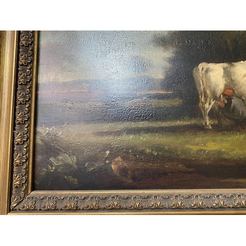 84 - ANTIQUE OIL ON BOARD OF COWS 24