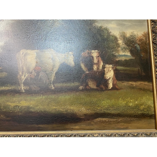 84 - ANTIQUE OIL ON BOARD OF COWS 24